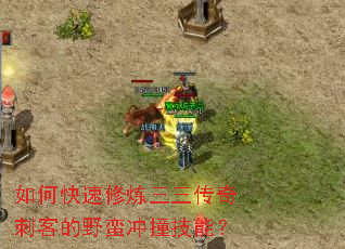 ��ο���������������̿͵�Ұ����ײ���ܣ�