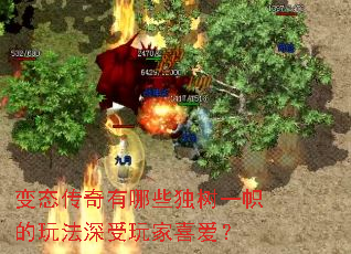 ��̬��������Щ����һ�ĵ��淨�������ϲ����