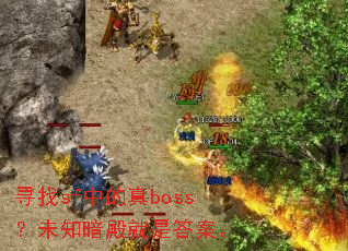 Ѱ��sf�е���boss��δ֪������Ǵ𰸡�