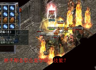 �����ڸ�ְҵ��ѧ��Щ���ܣ�