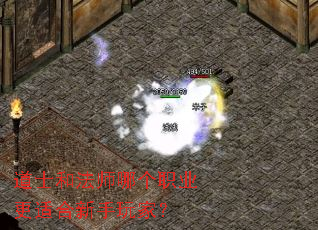 ��ʿ�ͷ�ʦ�ĸ�ְҵ���ʺ�������ң�