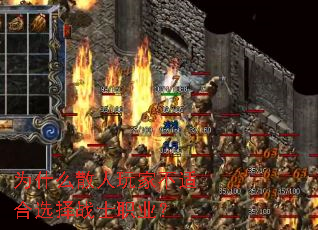 Ϊʲôɢ����Ҳ��ʺ�ѡ��սʿְҵ��