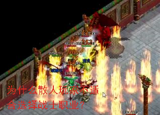 Ϊʲôɢ����Ҳ��ʺ�ѡ��սʿְҵ��