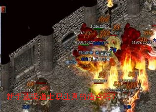 ����ѡ���ʿְҵ����ʺ���