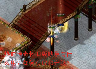 ��Ѫ���滳�ɰ�ѫ����ʲô�ã���λ�ȡ��������