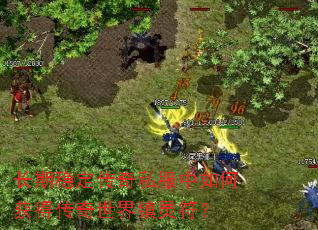 �����ȶ�����˽������λ�ô��������������