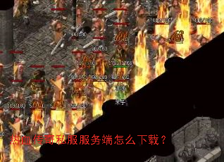 ��Ѫ����˽���������ô���أ�