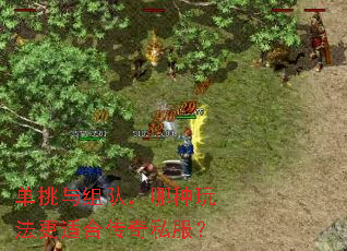 ��������ӣ������淨���ʺϴ���˽����