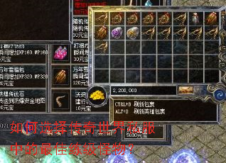 ���ѡ��������˽���е�����������