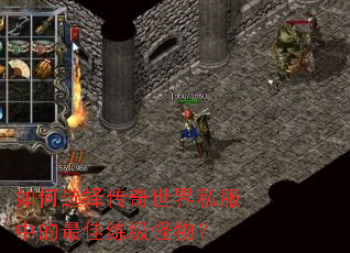 ���ѡ��������˽���е�����������