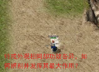 �ؽ������ͬȴ��Ч���죬��α�𲢷�����������ã�