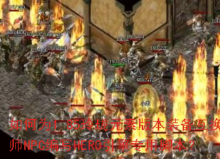 ���Ϊ1.85����Ԫ�ذ汾װ������ʦNPC��дHERO����ר�ýű���