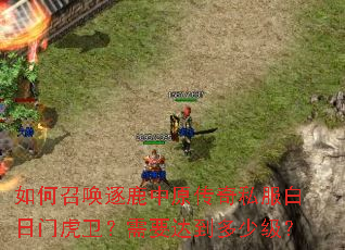 ����ٻ���¹��ԭ����˽�������Ż�������Ҫ�ﵽ���ټ���