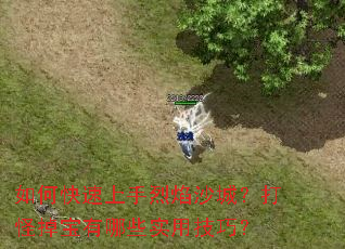 ��ο�����������ɳ�ǣ���ֵ�������Щʵ�ü��ɣ�