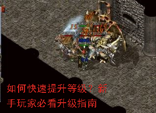 ��ο��������ȼ���������ұؿ�����ָ��