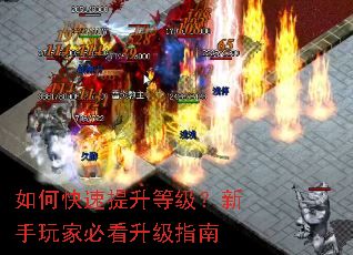 ��ο��������ȼ���������ұؿ�����ָ��