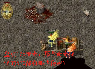 �̵�176���棺��Щ����ֵֹ�NPC������Щ���ܣ�