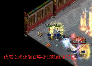 �ջ�֮�⻹���ٻ���Щ���ع��