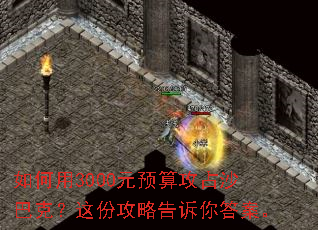 �����3000ԪԤ�㹥ռɳ�Ϳˣ���ݹ��Ը�����𰸡�