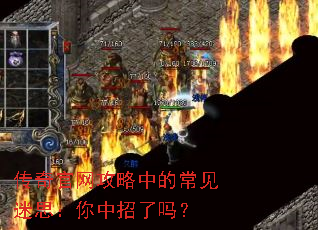 ������������еĳ�����˼������������