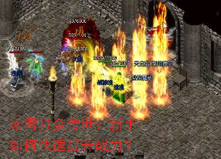 ��ѩ�������������ο�������ս����