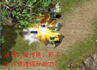 ��ѩ�������������ο�������ս����