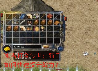 ��ѩ�������������ο�������ս����