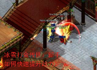 ��ѩ�������������ο�������ս����