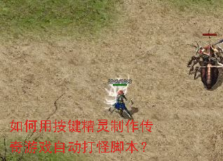 ����ð�����������������Ϸ�Զ���ֽű���