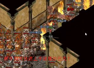 ������ο���������¹ɳ�Ϳˣ�