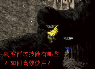 �̿�Ⱥ����������Щ����θ�Чʹ�ã�