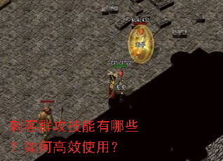 �̿�Ⱥ����������Щ����θ�Чʹ�ã�