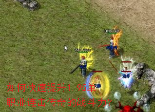 ��ο�������1.95��ְҵ���������ս������