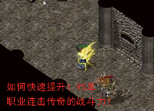 ��ο�������1.95��ְҵ���������ս������