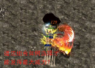 ����������ѡ����ܷ������������