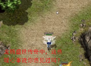 ����ʢ�������У���Щů���¼�����������