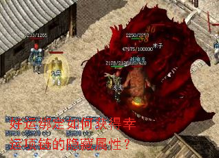 ���˰���λ�������������������ԣ�