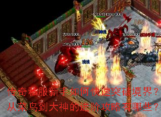 ����˽��������ο���ͻ�ƾ��磿�Ӳ��񵽴���Ľ��׹�������Щ��