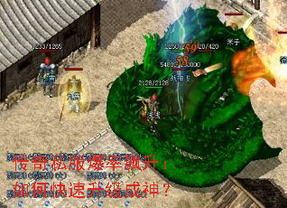 ����˽�������������ο�����������