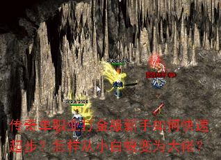 ���浥ְҵ����������ο����𲽣�������С���ɱ�Ϊ���У�