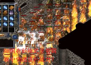 ������·���ʥ�������п�������ս����