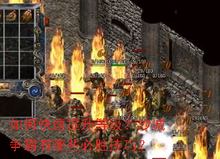 ��ο��������ȼ���ɳ����������Щ��ʤ���ɣ�