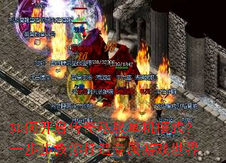 ��ο�������˽������ģʽ��һ�����������ר����Ϸ����