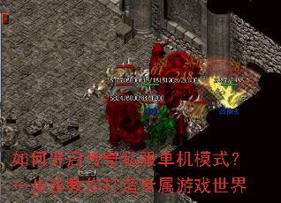 ��ο�������˽������ģʽ��һ�����������ר����Ϸ����