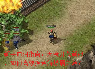 ����Ѫ��ָ�ϣ��޽𿪻��·�����θ�Ч�����ȼü֮����