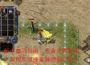 ����Ѫ��ָ�ϣ��޽𿪻��·�����θ�Ч�����ȼü֮����