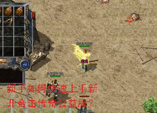 新手如何快速上手新开合击传奇公益服? 新手如何快速上手新开合击传奇公益服?