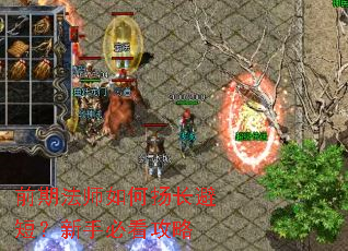 ǰ�ڷ�ʦ����ﳤ�̣ܶ����ֱؿ�����