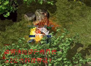 ��ο����������´�˵2����Ƽ��ȼ���