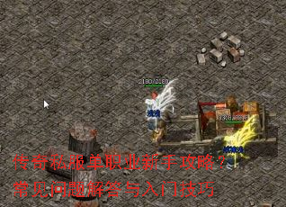 ����˽����ְҵ���ֹ��ԣ����������������ż���